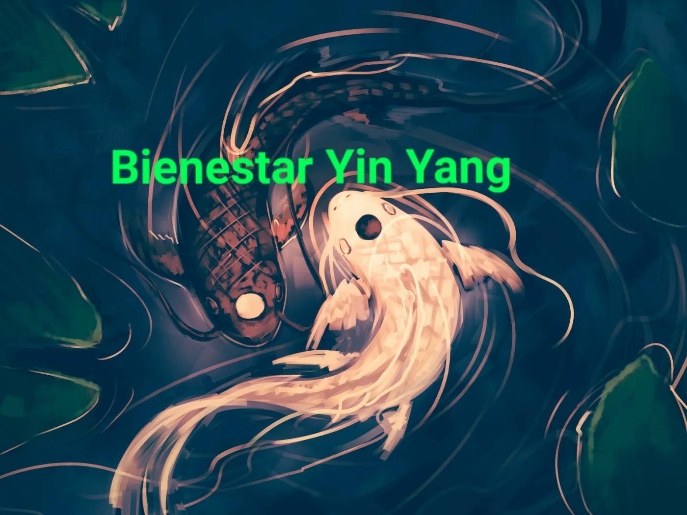 Bienestar Yin Yang. Centro natural · Fotos 4